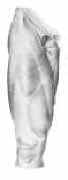 clementes fascia leg